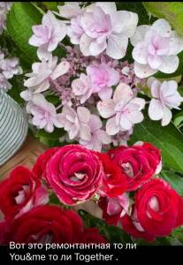 IMG_2807.jpeg