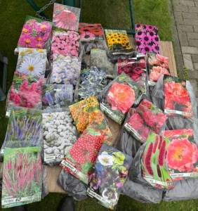 IMG_3076.jpeg