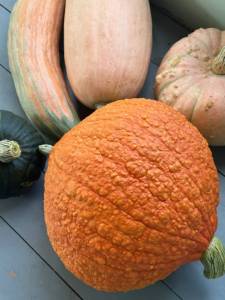 IMG_6496.jpeg