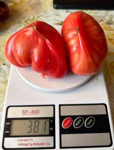IMG_7065.thumb.jpg.092e5c9af467fd6373b2c722cfb982c4.jpg