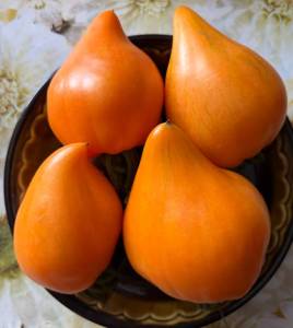IMG_7159.thumb.jpg.cf896649f1a7031378f82b25c8002fe6.jpg