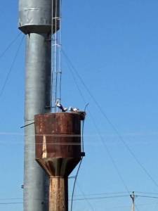IMG_7227.jpeg