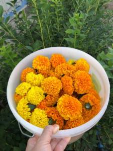IMG_9104.jpeg