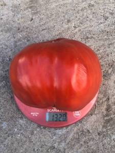 IMG_9133.jpeg