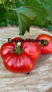 IMG_9771.jpeg