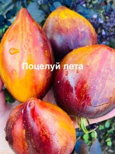 IMG_9807.jpeg