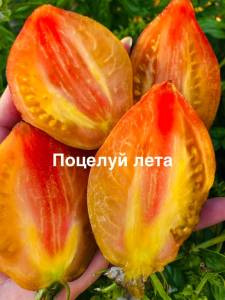 IMG_9811.jpeg