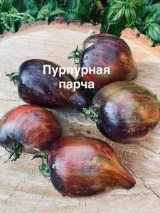 IMG_9813.jpeg
