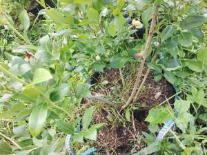 IMG_COM_202608041445333160.jpg