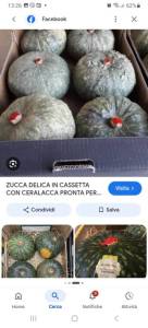 Screenshot_20260804_132634_Google.jpg