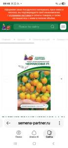 Screenshot_20260819_094523_Yandex.jpg