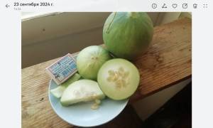 Screenshot_20260823_075118_com.huawei.photos.thumb.jpg.f493e0a9cb26eae3c6177a7252a8846e.jpg