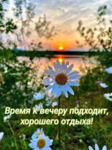ad397dc571149ca58b4d350741227984.thumb.jpg.1a6bf1ba0ba3566559dc062c42b84c2a.jpg
