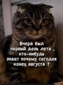c3228871943566d9fadaacc3920b8cf7.jpg