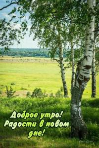 dd3be1ca3ffe3cb7a4f30f2b050ea51b.thumb.jpg.f6b857e3bc39e51a2b5d169c85b14541.jpg