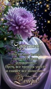 e09b87faa5f9656871365cb664bd2fe5.jpg