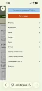 image-17-08-26-11-36-1.png