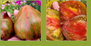 image.thumb.png.5afcd56335c96deebd3a321a0b64364b.png