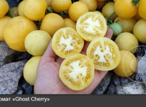 image.thumb.png.81724be5e6e31bd116e6234eeb493b59.png