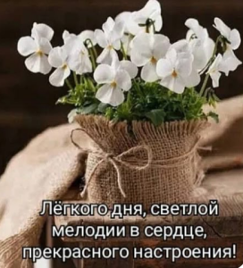 image.thumb.png.e41f1dcf451afc11b018c0594f650b8c.png
