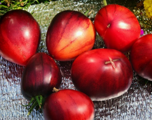 image.thumb.png.fd48d420e113b8dc41143ddeb9838b94.png