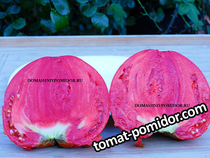 large.1894956133_1.png.be9d4dc273ed767fb2285a59dd848717.png