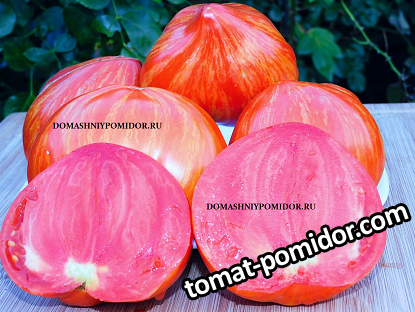 large.244747097_96-.-1.png.106f1c39f918e07afb16cfb0ee2def83.png