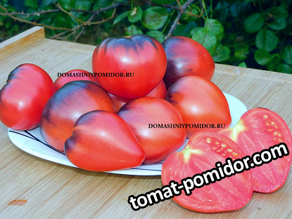 large.928140897_1.png.79f3efeb142aa63ff9f801c52776334f.png