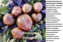 вишневый соловей.jpg