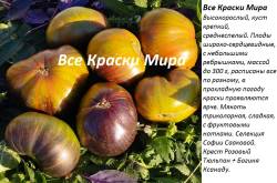 Все Краски Мира.jpg