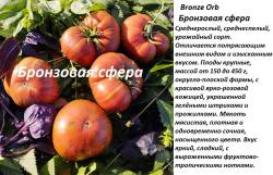 бронзовая сфера.jpg