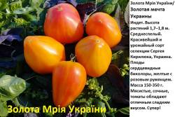 Золотая мечта Украины.jpg