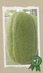 20260802_125709-COLLAGE.jpg