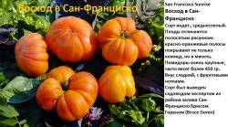 Восход в Сан-Франциско.jpg