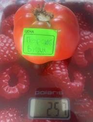 ПерсиковидныеФ.jpg