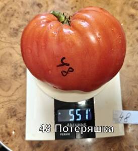 48о.jpg