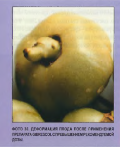 1350823986_.thumb.png.0836cd67cace3e84fd3aa63ea69cfd71.png