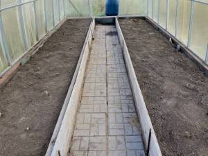 Cleaned out greenhouse