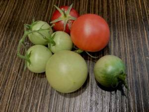 Sweet Cream cherry tomatoes
