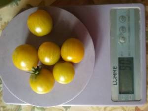 20260903_100522.thumb.jpg.73f3ce2eadf21e39c5898e9be4bdb6e3.jpg