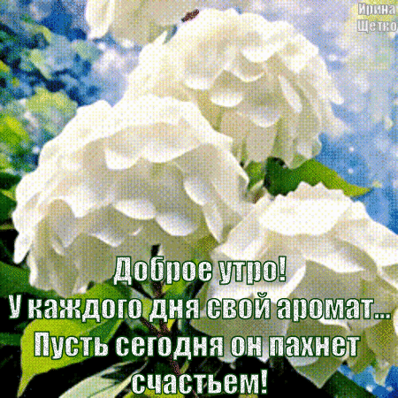 dobroe-utro (2).gif