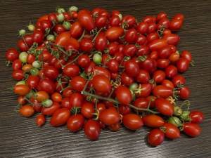 Cherry from Yuri