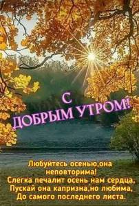 55239efb43812cf52a73a02b0e9d8c31.jpg