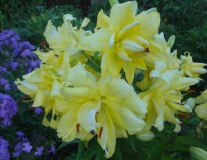 DSC04380~2.JPG