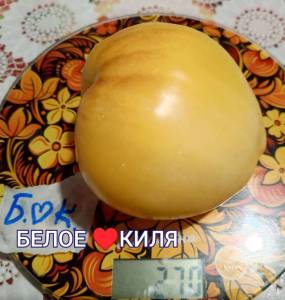 Compress_20260823_091519_9216.thumb.jpg.90f44f5452b285a1531761834378bae4.jpg