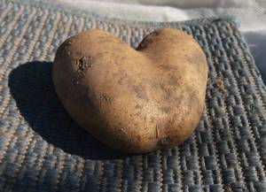 IMG_20260910_143910.thumb.jpg.7c45433bfdb75b5de78da8e933977e25.jpg