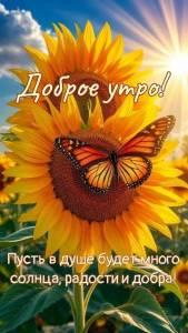 IMG_20260914_073622.jpg