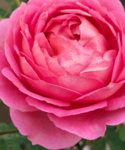 IMG_20260916_123055.jpg