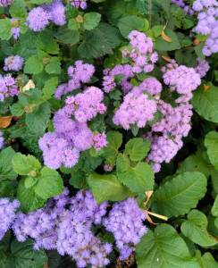 IMG_20260916_124158.jpg