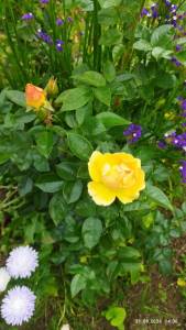 IMG_20260921_140613.jpg